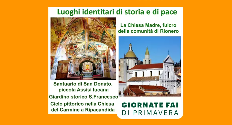 descrizione immagine